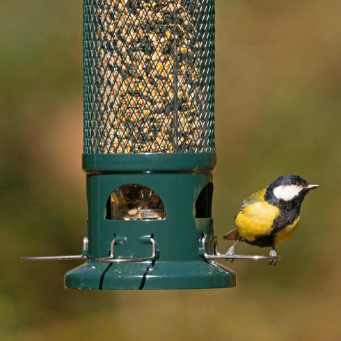 Ruokinta Squirrel Buster standard, oravat estävä ja kestävä lintujen ruokintalaite